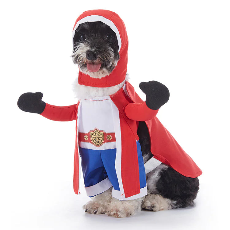 Adorable Halloween Dog Costumes - Spooky Pet Outfits for Trick-or-Treating