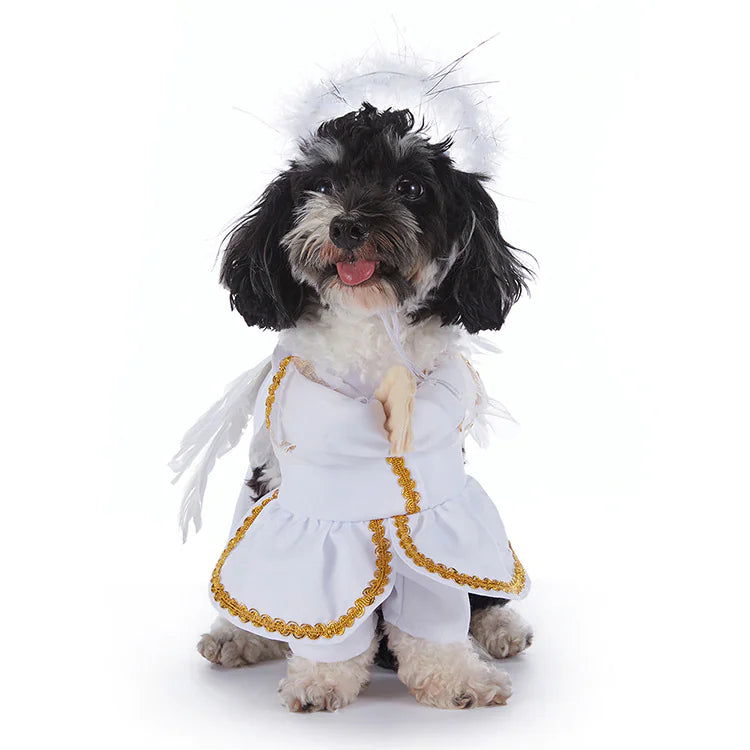 Adorable Halloween Dog Costumes - Spooky Pet Outfits for Trick-or-Treating