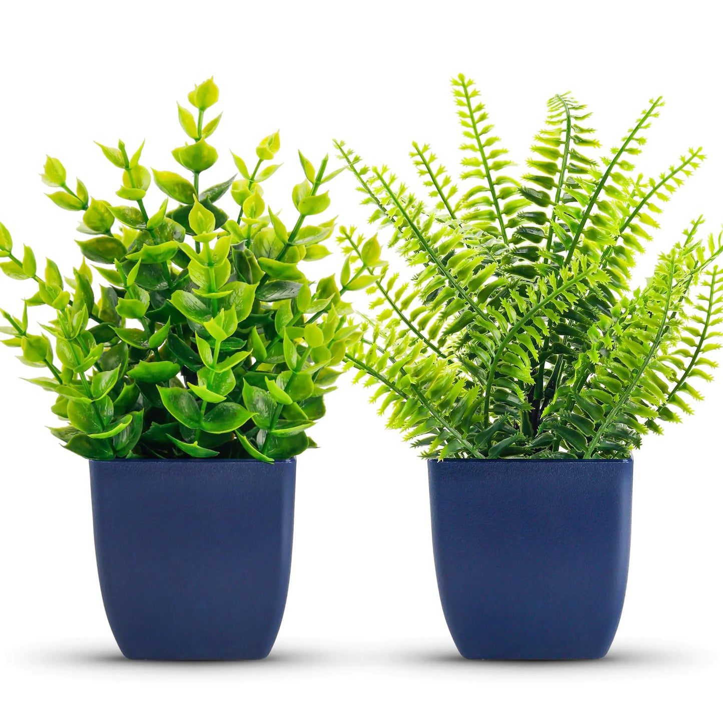 Der Rose Artificial Plants Set - 2 Small Faux Plants in Blue Ceramic Pots for Home Decor