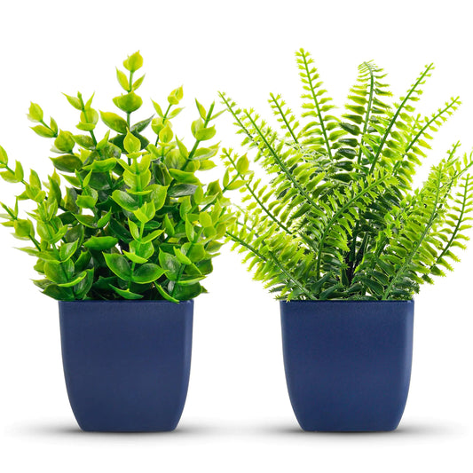 Der Rose Artificial Plants Set - 2 Small Faux Plants in Blue Ceramic Pots for Home Decor