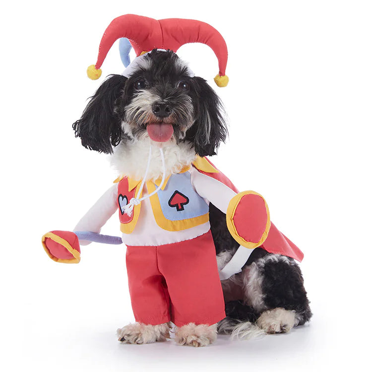 Adorable Halloween Dog Costumes - Spooky Pet Outfits for Trick-or-Treating