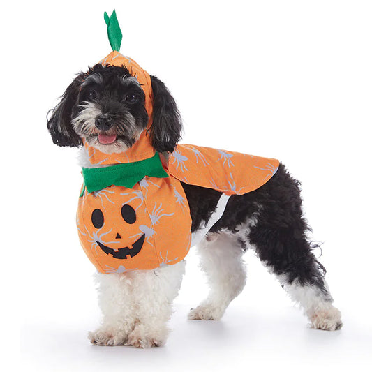 Adorable Halloween Dog Costumes - Spooky Pet Outfits for Trick-or-Treating