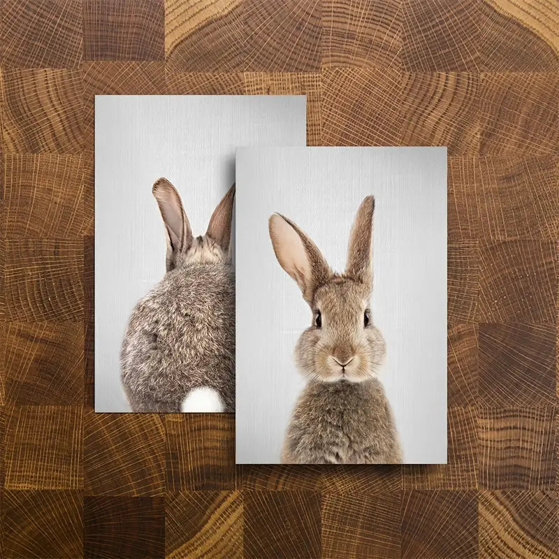 Kawaii Rabbit Canvas Wall Art Set - 2 Piece Cute Bunny Paintings for Home Decor